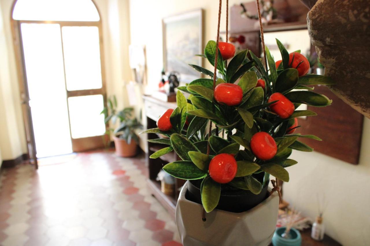Casa Vacanze Da Mari Poggio  Экстерьер фото